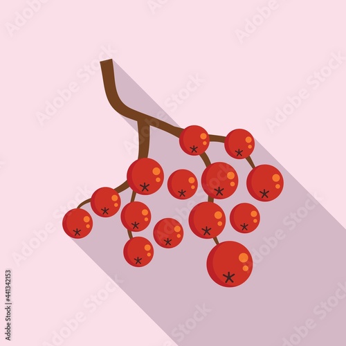Rowan vitamin icon, flat style