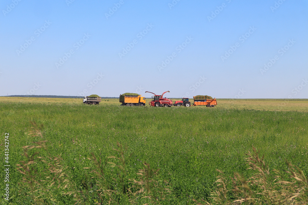 Fototapeta premium The concept of harvesting and harvesting of feed. Agricultural machinery on a green field against a blue sky background.