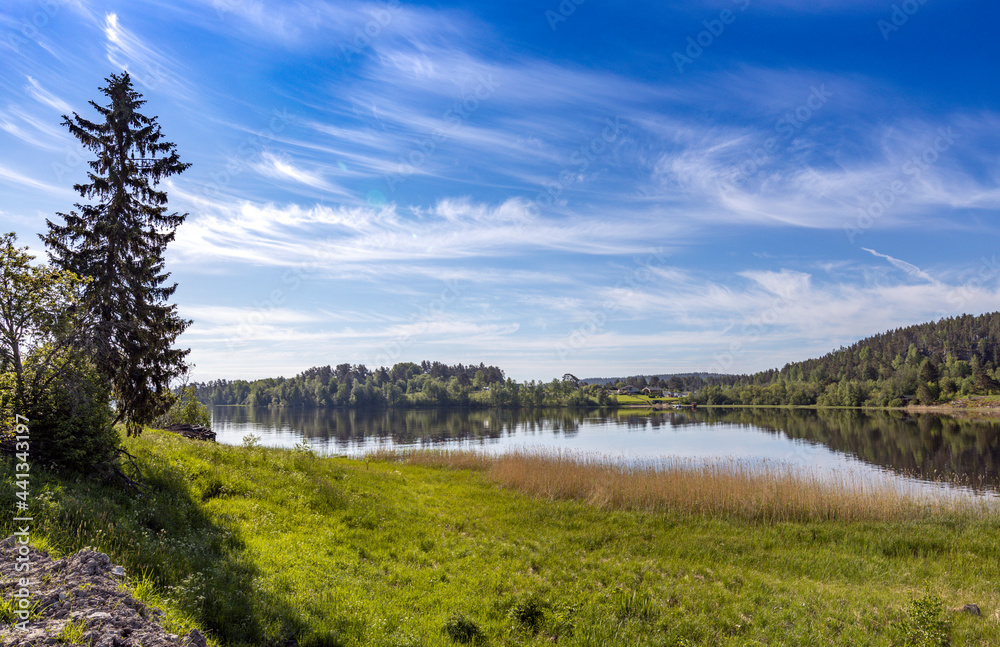 Obraz premium beautiful panorama of a rural landscape with a lake illuminated by the sun. summer panoramic view with bright green grass and large spruce. landscape, lake in front of the forest.