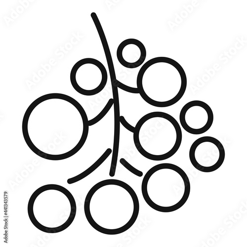 Rowan healthy berry icon, outline style