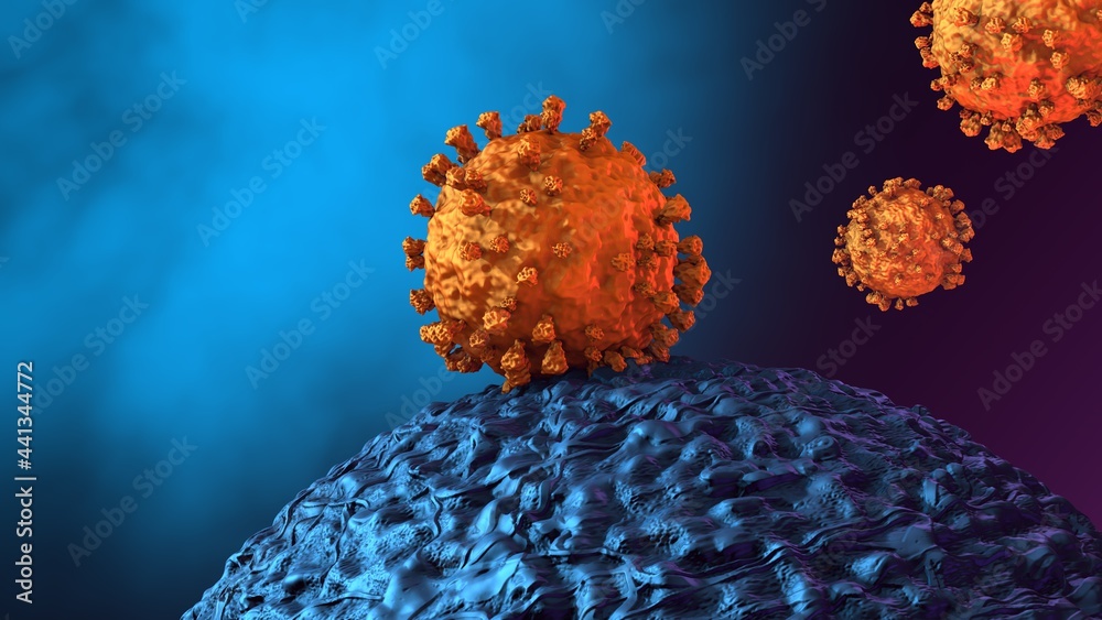Coronavirus - Microscopic view of human cell with infectious SARS-CoV-2 ...
