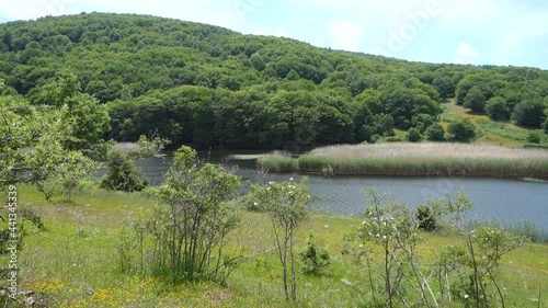 Wallpaper Mural a mirror of blue fresh water in the Sicily, a beautiful day on Biviere lake in mountains of Nebrodi Nature Reserve (panning and zoom) Torontodigital.ca