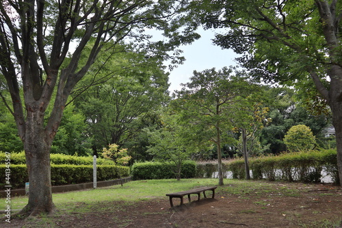 bench in the park