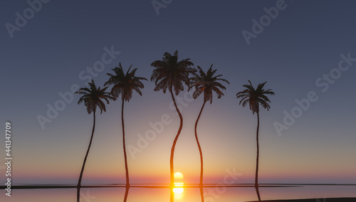 Fototapeta Naklejka Na Ścianę i Meble -  palm trees in tropical sunset