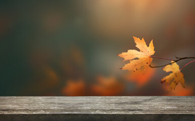 A wood table product display background with copyspace and golden yellow, brown leaves for Thanksgiving and other seasonal messages.
