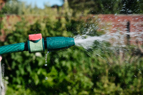 Woman watering flowers in the garden at summer day. Woman using garden hose