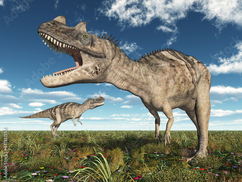 Fototapeta Naklejka Na Ścianę i Meble -  Dinosaurier Ceratosaurus in einer Landschaft