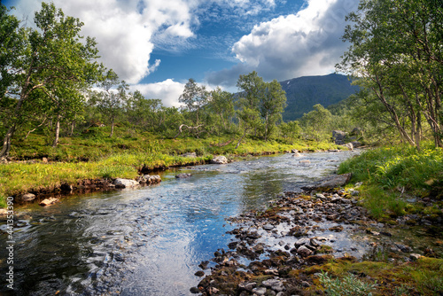 Mountain river. Beautiful summer forest landscape. Travel to Norway