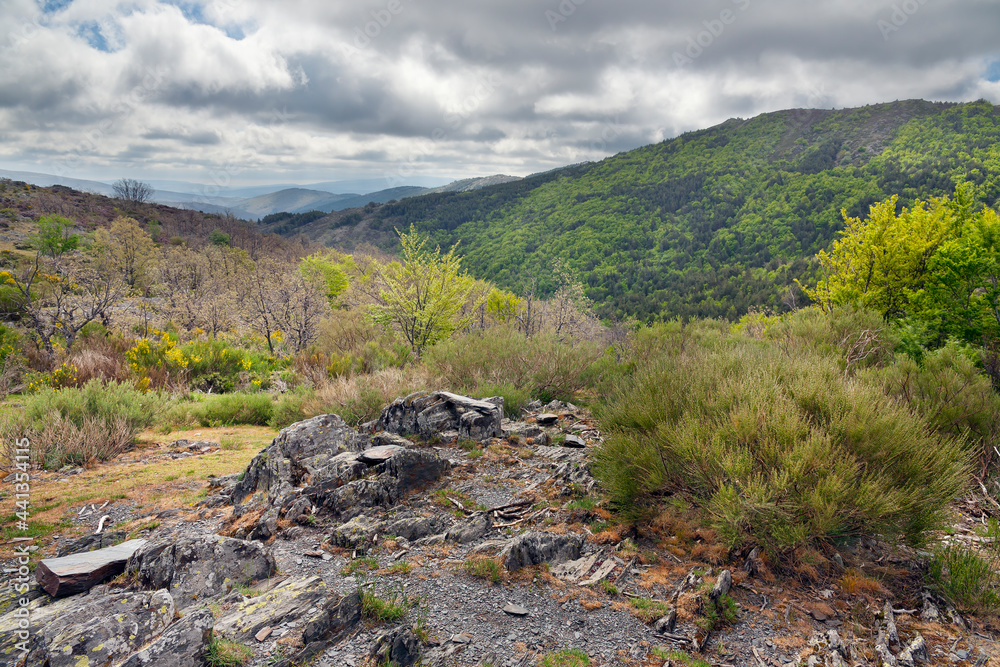 Fototapeta premium Barranco de las Viboras. Sierra de Gredos. España. Europa.