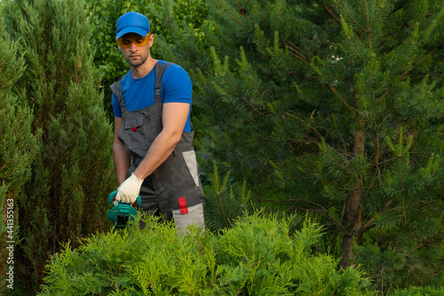 Male gardener in a protective suit prunes bushes with an electric trimmer