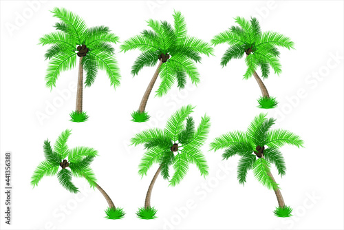 Coconut tree set vector illustration