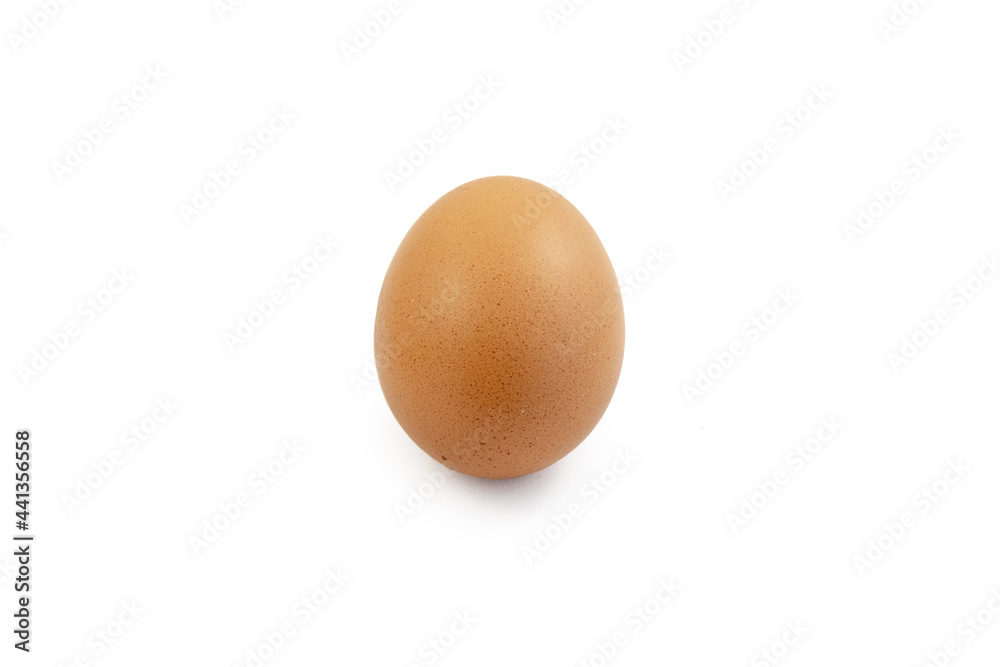 chicken egg isolated on white background chicken egg isolated on white background