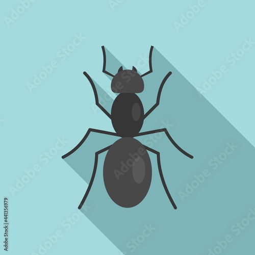 Animal ant icon, flat style © anatolir
