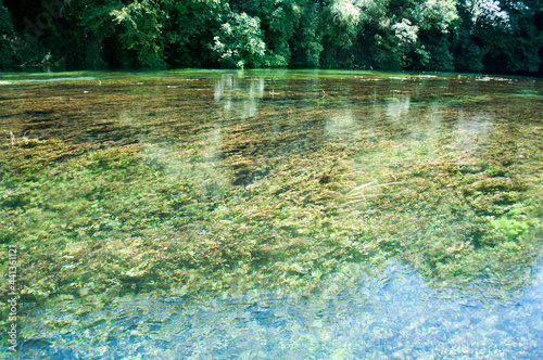 Fototapeta Naklejka Na Ścianę i Meble -  Beautiful Clear Water of the River. Blue Eye, Albania