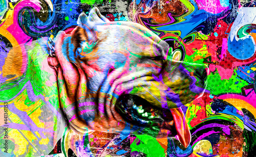 illustration of a dog with colorful splashes