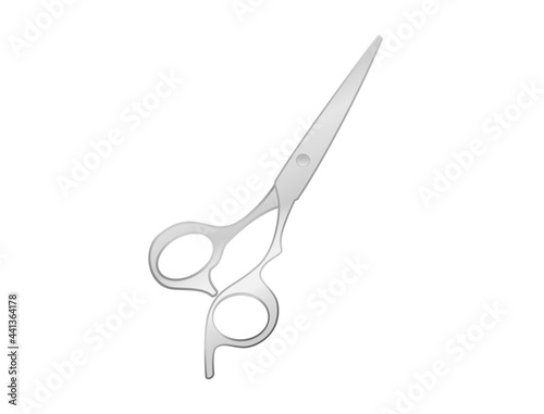 The silver scissors that seem to be closed