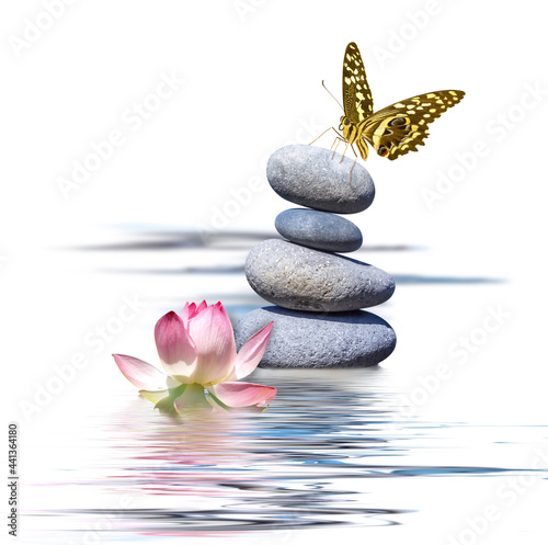 Papillon posé sur pierres superposées, composition zen avec fleur de lotus rose