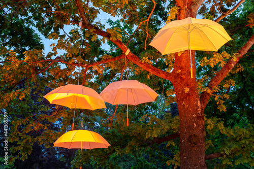 Wallpaper Mural Regenschirme in den Bäumen  Torontodigital.ca