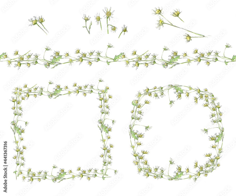 Watercolor set with daisies flowers drawn by hand on white background. Frames, stripe, elements. Watercolor set with daisies flowers drawn by hand on white background. Frames, stripe, elements.