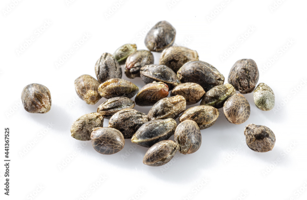 Cannabis seeds isolated on white background. Close up. Cannabis seeds isolated on white background. Close up.