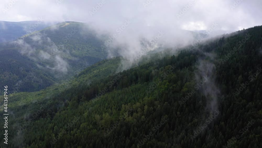 Aerial Forward Shot Of Wild Forest Over Mountains Against Cloudy Sky - Baltic Sea, Poland