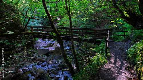 Big Burn waterfall walk through Dunrobin wood in Golspie in the Highlands