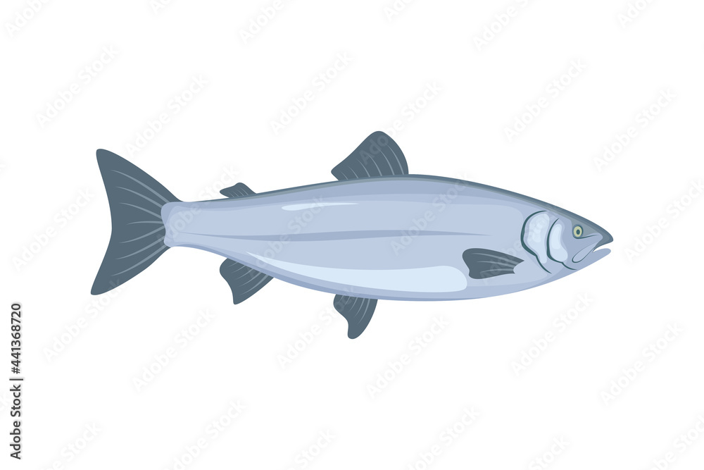 salmon fish illustration vector in flat style
