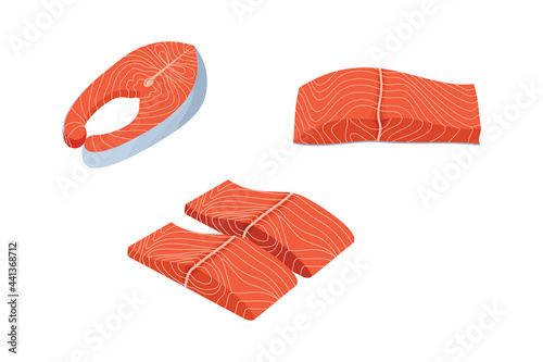 Salmon Slices Collection. flat design illustration vector