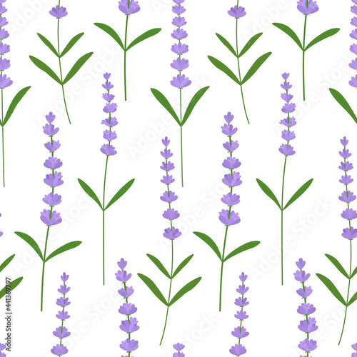 Seamless pattern lavender flowers vector illustration. Provence wildflowers 
