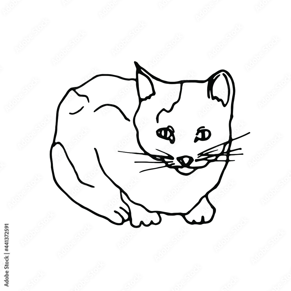 Doodle cat lies.Pet.Line art. Doodle cat lies.Pet.Line art.