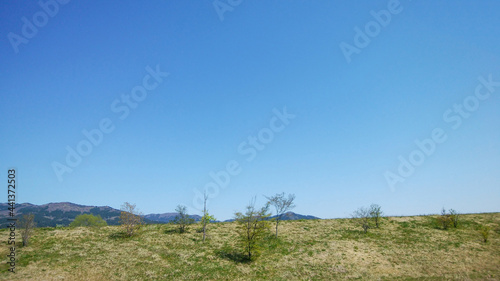 土手から見る雲一つ無い青空