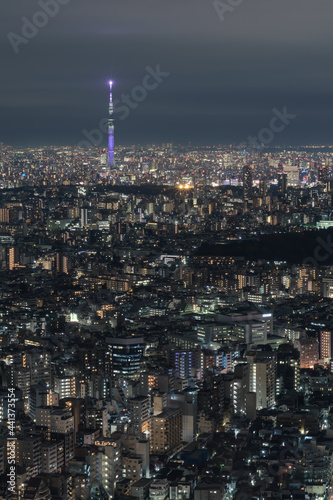 Wallpaper Mural スカイツリー Torontodigital.ca