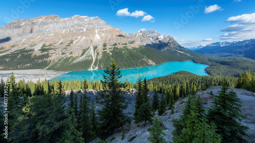 Panorama of Rocky Mountains, beautiful Peyto lake in Banff National Park, Canada.