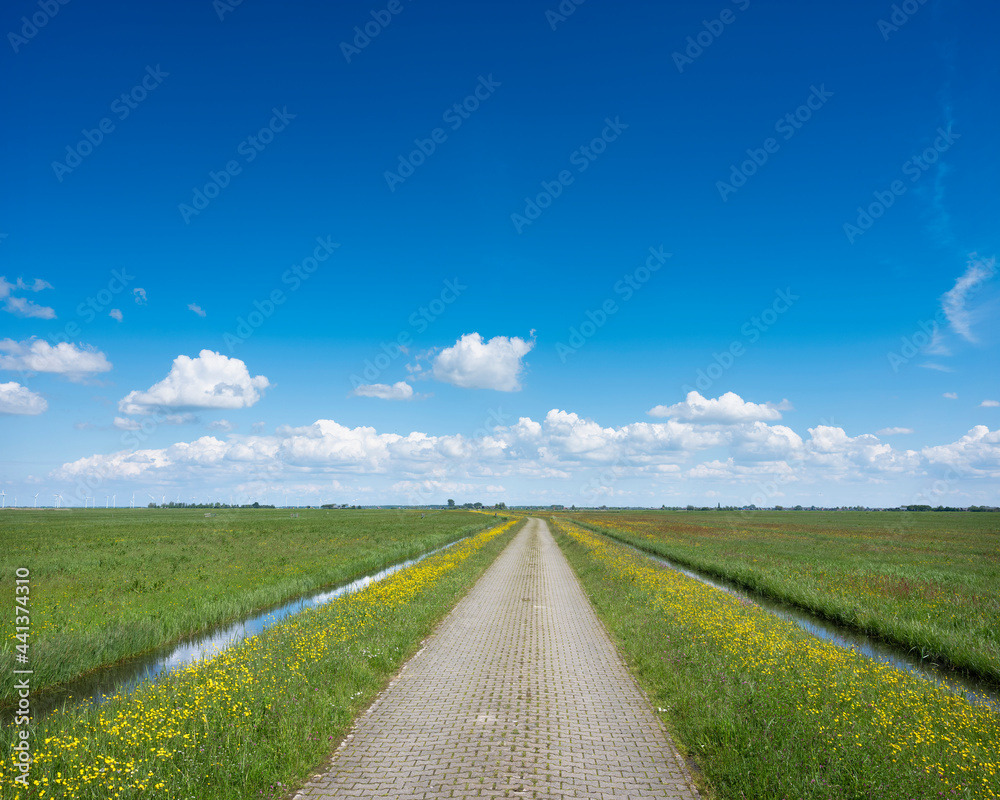 Naklejka premium brick country road with wild yellow flowers under blue sky in holland
