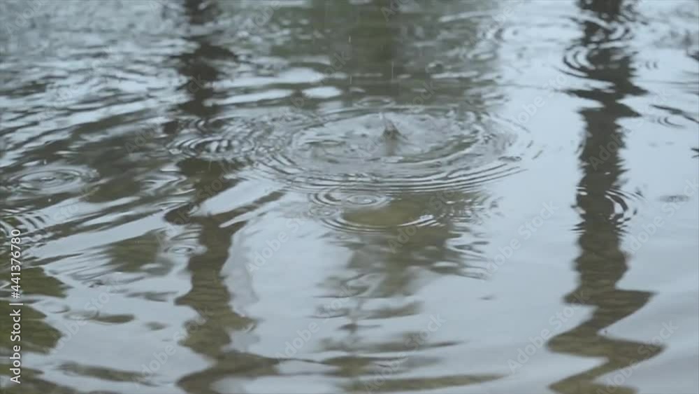 Rain drops falling on water surface. Closeup. Splashing Monsoon Raindrops on pond water. Beautiful Rainy Season Background. Slow motion stock Footage. Sound Effect. Abstract nature texture pattern. Rain drops falling on water surface. Closeup. Splashing Monsoon Raindrops on pond water. Beautiful Rainy Season Background. Slow motion stock Footage. Sound Effect. Abstract nature texture pattern.