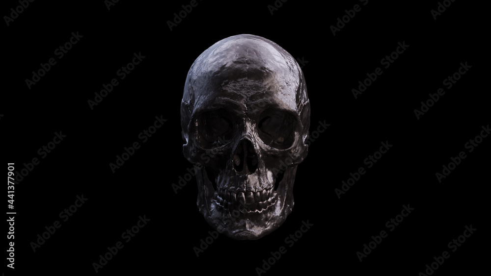 Old Iron Human Female Skull Dusty With Teeth and Black Background Medical Anatomical and Jaw Bone 3d illustration render