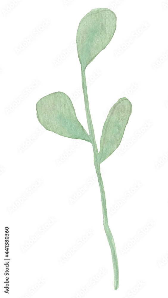 Hand drawn watercolor flowers and leaves Hand drawn watercolor flowers and leaves