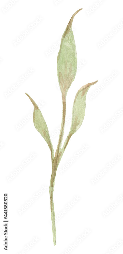 Hand drawn watercolor flowers and leaves Hand drawn watercolor flowers and leaves