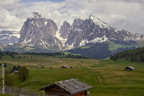 beautiful landscape of a green meadow with wooden houses and in the background the mountain of alpe di siusi in the italian dolomites