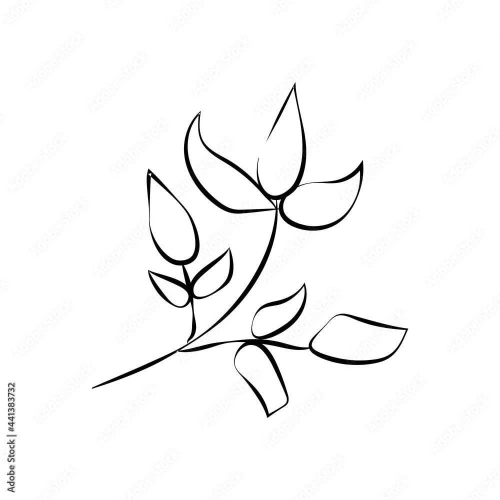 Fototapeta Summer garden blooming flowers monochrome illustration, sketch, hand drawn