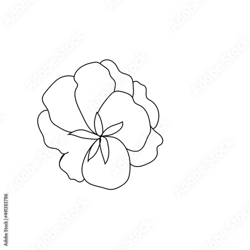 Summer garden blooming flowers monochrome illustration, sketch, hand drawn