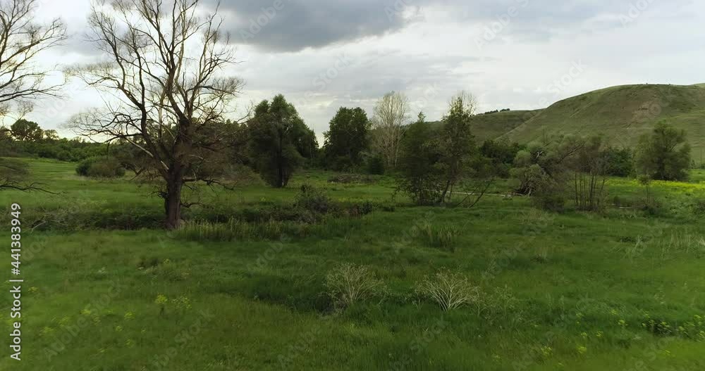 Source of the river with beauty calm swampy backwater with reeds and thickets and bald hills background. Aerial above drone wide view at summer cloudy day. Source of the river with beauty calm swampy backwater with reeds and thickets and bald hills background. Aerial above drone wide view at summer cloudy day.