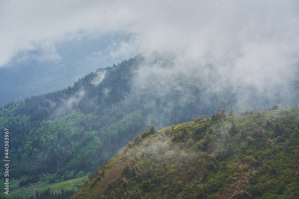 Low clouds and fog over the mountains. Svidovets ridge. Ukraine, Carpathian mountains. Low clouds and fog over the mountains. Svidovets ridge. Ukraine, Carpathian mountains.