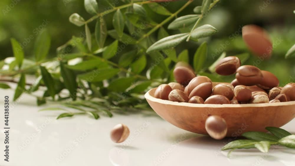 argan tree nut