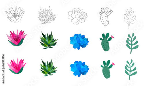 Set of hand drawn cacti and succulents. Spiny desert plants, cactus flowers and tropical plants. Vector collection of doodle plants.