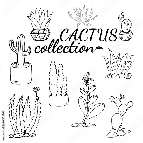 Set of hand drawn cacti and succulents. Collection of plants in pots. Spiny desert plants, cactus flowers and tropical plants. Hand-drawn illustration in a sketch style.