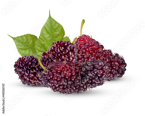 Fresh mulberry with leaves isolated on white background