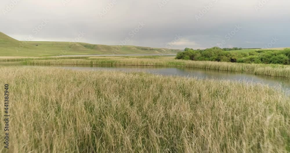 Source of the river with beauty calm swampy backwater with reeds and thickets and bald hills background. Aerial above drone wide view at summer cloudy day. Source of the river with beauty calm swampy backwater with reeds and thickets and bald hills background. Aerial above drone wide view at summer cloudy day.