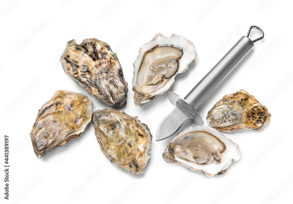 Fresh raw oysters and knife on white background, top view Fresh raw oysters and knife on white background, top view