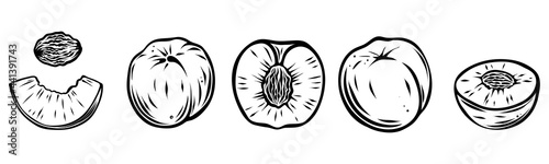 Set of peaches, monochrome, vector